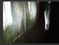 �롧�᤯��ȼ�